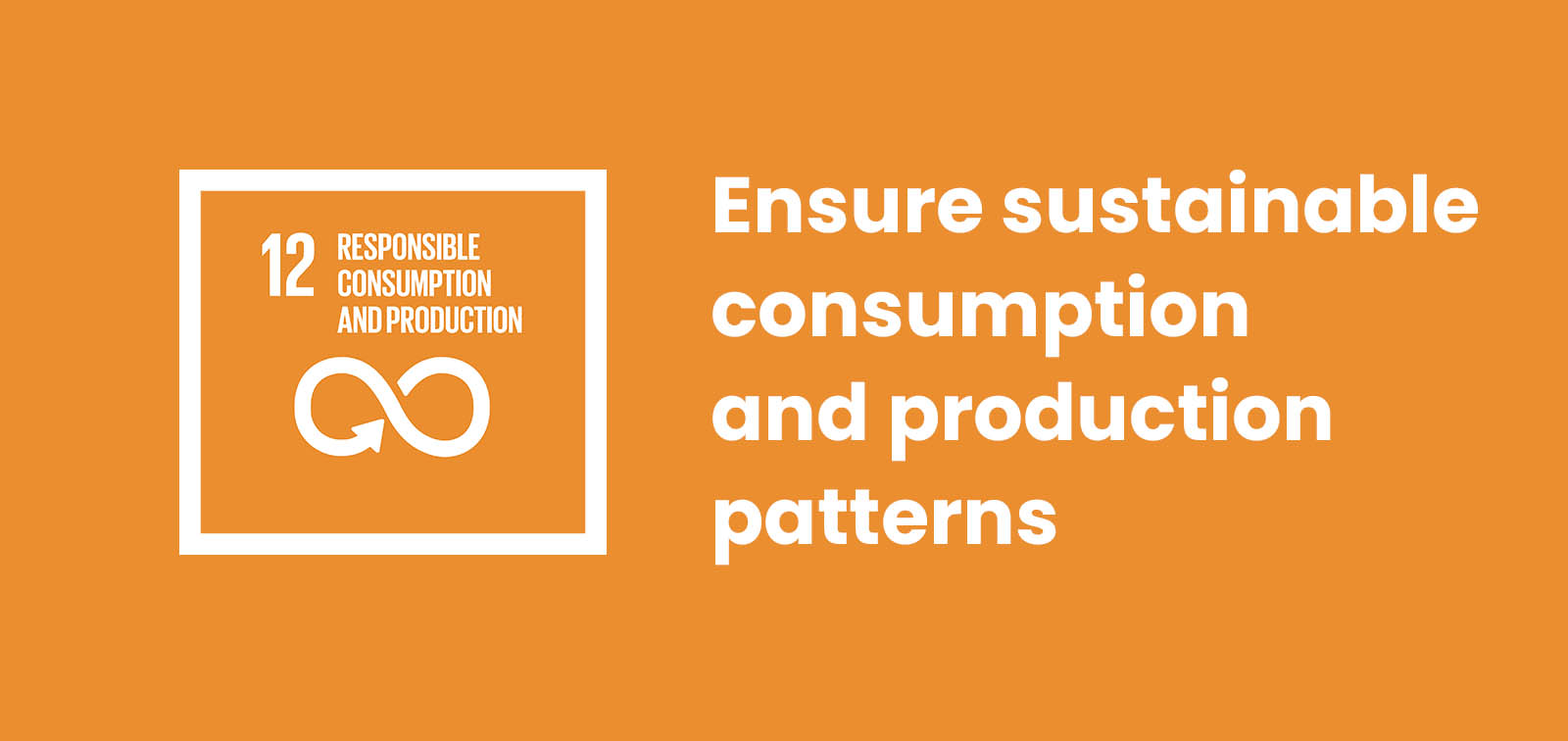 Sustainable Consumption and Production